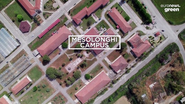 Atención a las especies invasoras en aguas del mar Mediterráneo