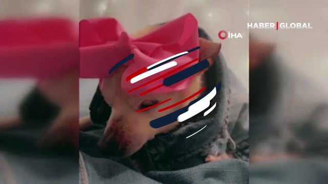 Dünyanın en yaşlı köpeği Pebbles, 22 yaşında Guinness Rekorlar Kitabı’na girdi