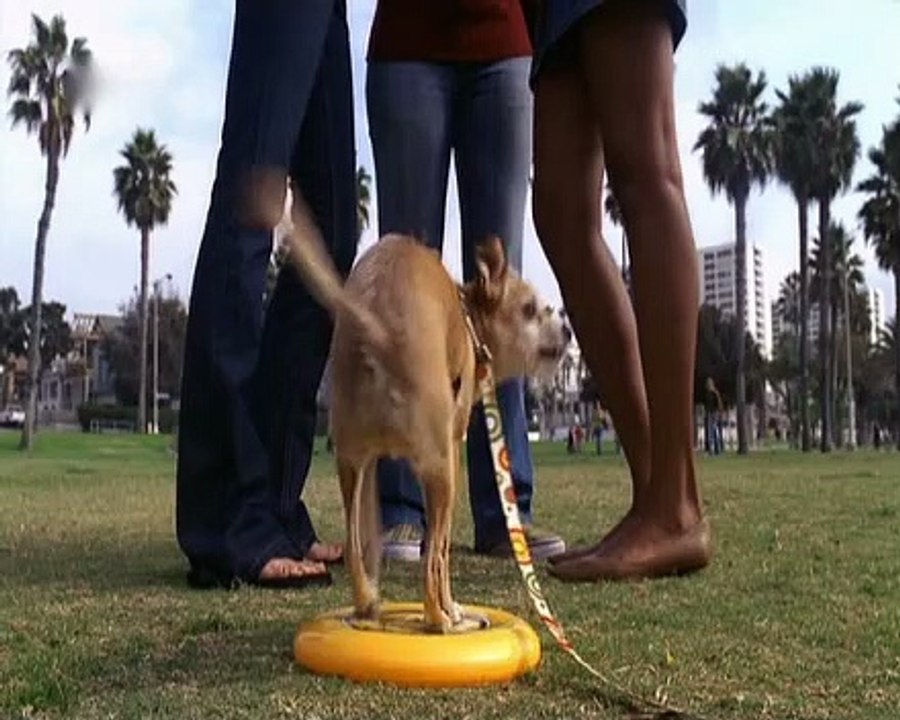 Ganz schön schwanger Staffel 2 Folge 5