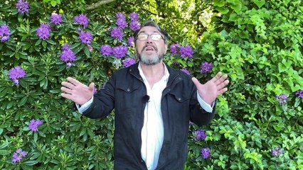 Huge outdoor theatre erected for Wirral Shakespeare players