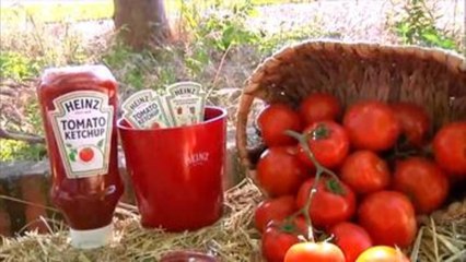 Heinz presenta un proyecto para alcanzar una agricultura sostenible
