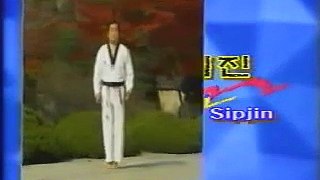 13  Taekwondo Poomsae Sipjin WTF