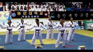 Taekwondo Poomsae 12 Pyongwon (WTF)