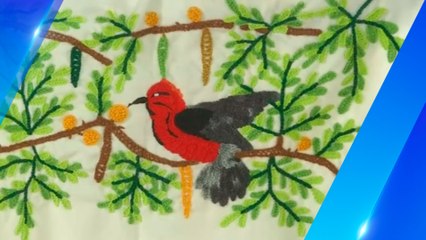 Bordadoras fueron declaradas Patrimonio Inmaterial en 2021