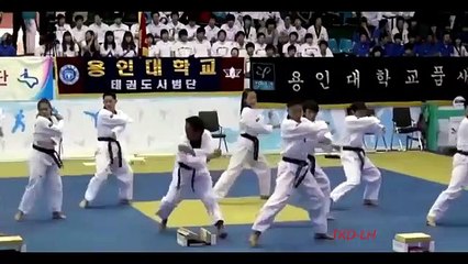 Tae Kwon Do Poomsee 11   -  Taebek