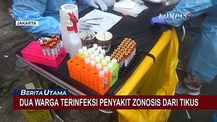 2 Warga Cilandak Terinfeksi Penyakit Zonosis, Diduga dari Tikus!