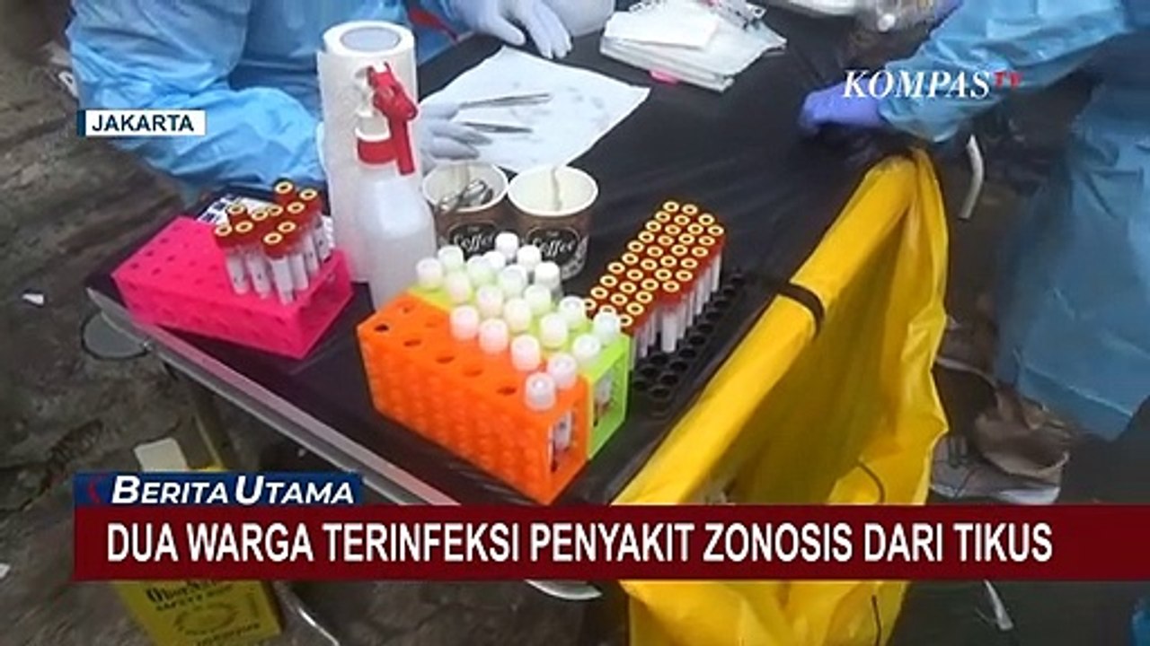 2 Warga Cilandak Terinfeksi Penyakit Zonosis, Diduga dari Tikus!