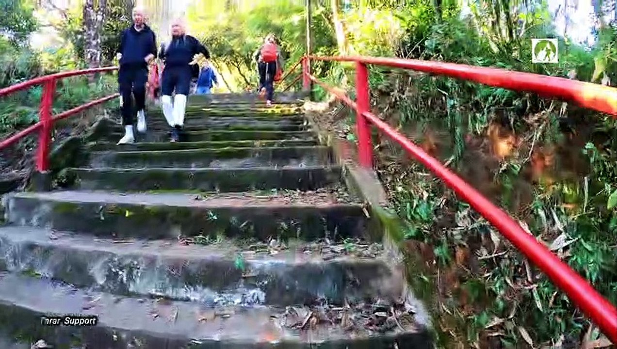 Hiking To Adam's Peak Sri Lanka 2022