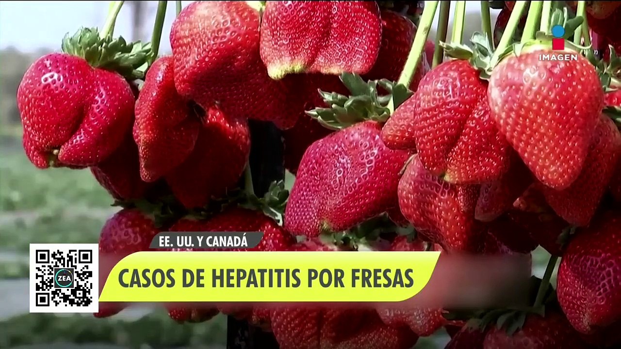 Inicia juicio contra artistas opositores cubanos