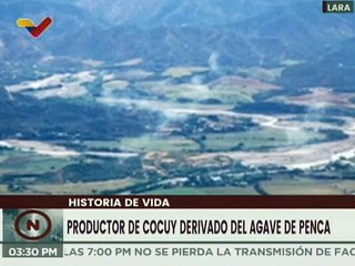 Historia de Vida | Alfonso Salazar, productor larense de Cocuy Fénix derivado del agave de penca