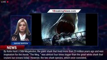 Did the great white bring down megalodon, its massive rival? - 1BREAKINGNEWS.COM