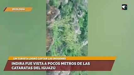 Indira fue vista a pocos metros de las Cataratas del Iguazú