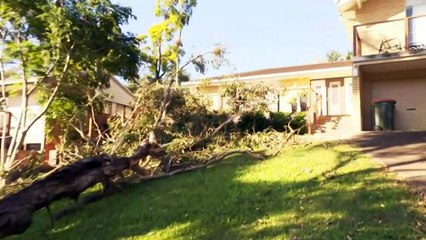 Strong winds and freezing conditions lash parts of QLD