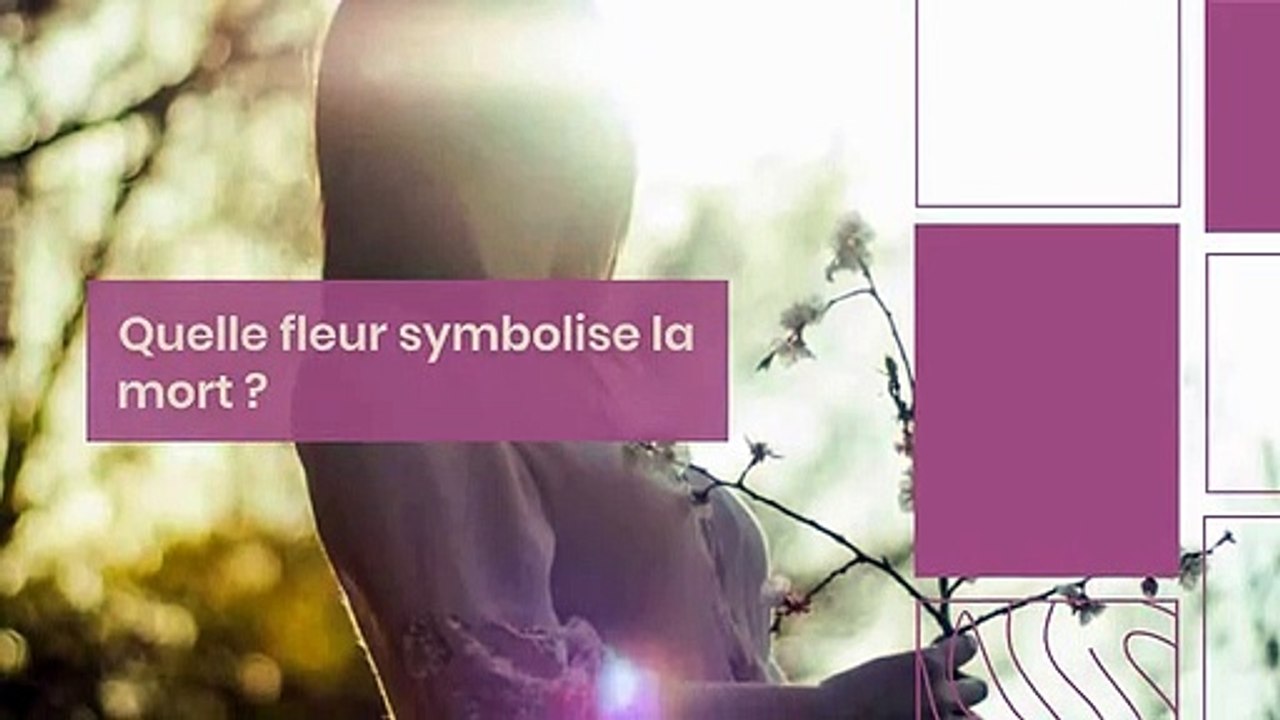 Quelle fleur symbolise la mort ?
