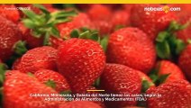 advertencia de la FDA después de un brote de hepatitis A por fresas orgánicas frescas.