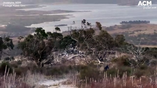 Fresh snowfall hits as polar blast continues across Australia | June 1, 2022 | ACM