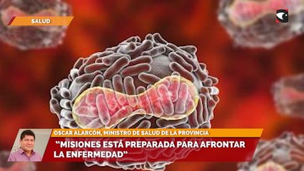 "Misiones está preparada para afrontar la enfermedad"