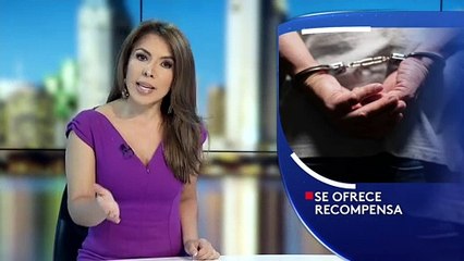 Se ofrece una recompensa de hasta mil dolares.