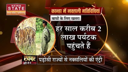 MP News: कान्हा में बाघों के लिए नक्सली बन रहे हैं खतरा