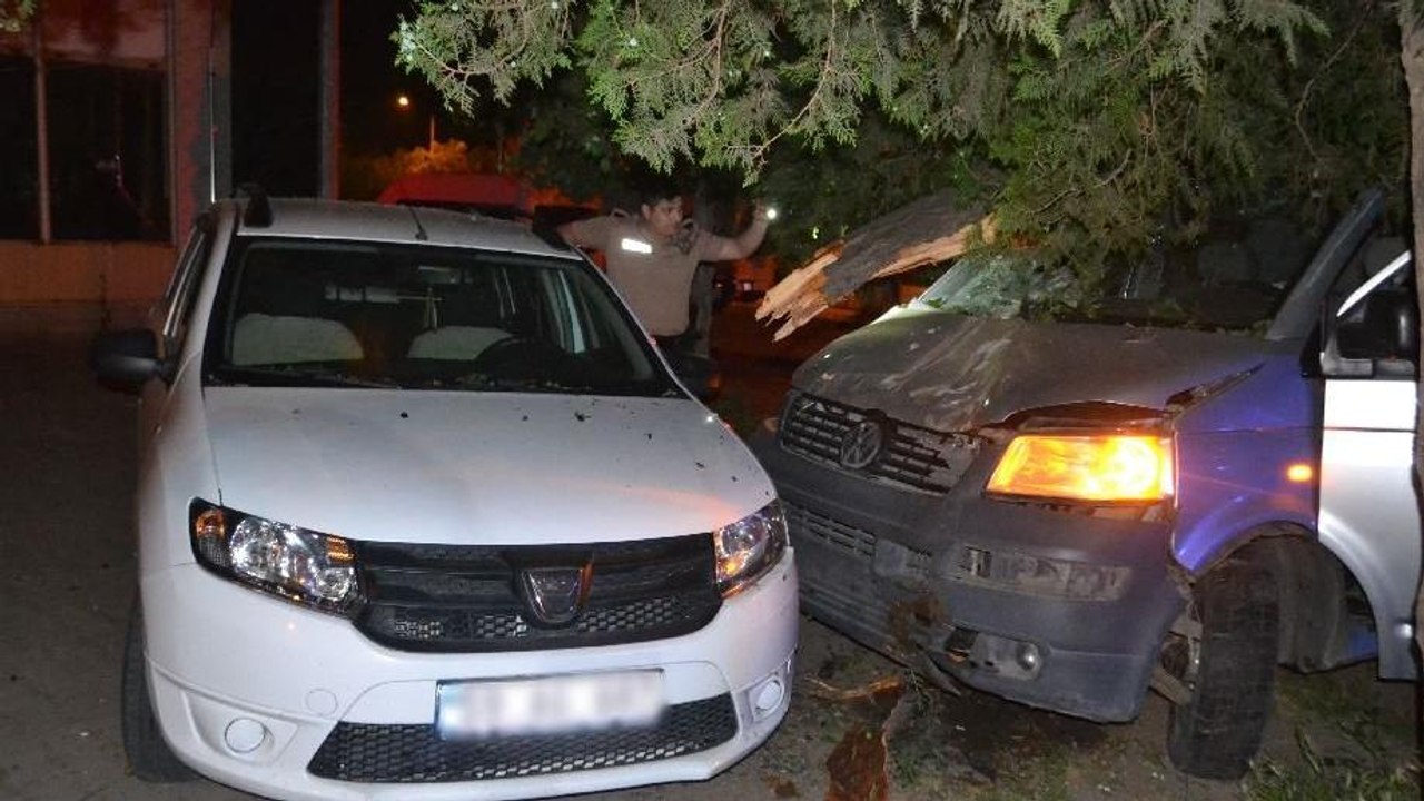 Alkollü sürücü polisten kaçarken ağaca çarptı