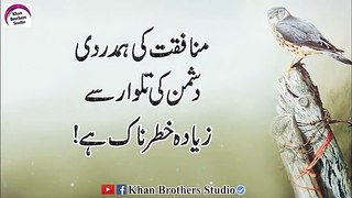 Amazing_Quotes_In_Urdu__Bitter_But_True_Words__Rj_Shan_Ali___Best_Urdu_Quotes___Amazing_Urdu_Quotes(360p)