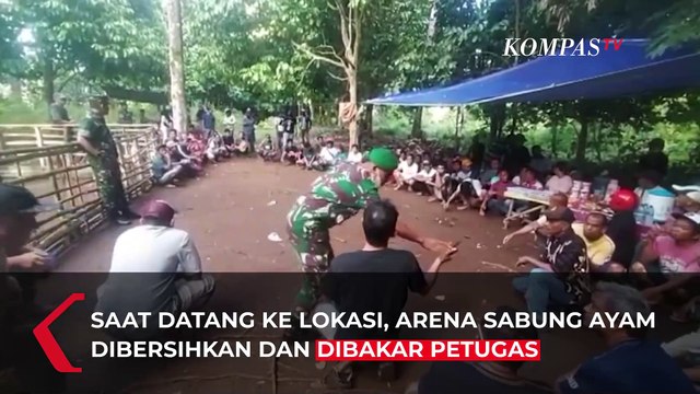 Aparat TNI Ajak Warga Bakar Arena Judi Sabung Ayam: Apa Tidak Ada Aktivitas Lebih Positif?