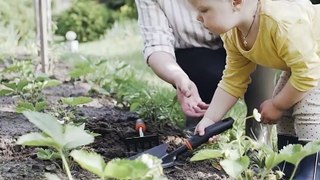 Lego Rebuild The Love For Nature