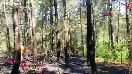 Eyüpsultan Göktürk'te ormanda yangın çıktı