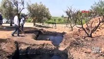 Zeytin tarlasında petrol bulundu!