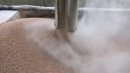 الحرب في أوكرانيا تهدد العالم بخسائر مأساوية.. ما هي؟