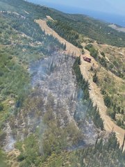 İzmir'deki orman yangını kontrol altına alındı