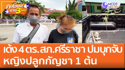 เด้ง 4 ตร. สภ.ศรีราชา ปมบุกจับหญิงปลูก "กัญชา" 1 ต้น (1 มิ.ย. 65) คุยโขมงบ่าย 3 โมง