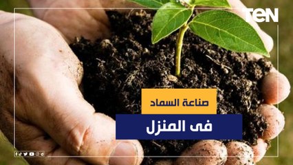 بورق الجرائد.. طرق صناعة السماد فى المنزل