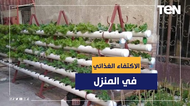 طرق زراعة الأسطح وتحقيق الاكتفاء الغذائي في المنزل
