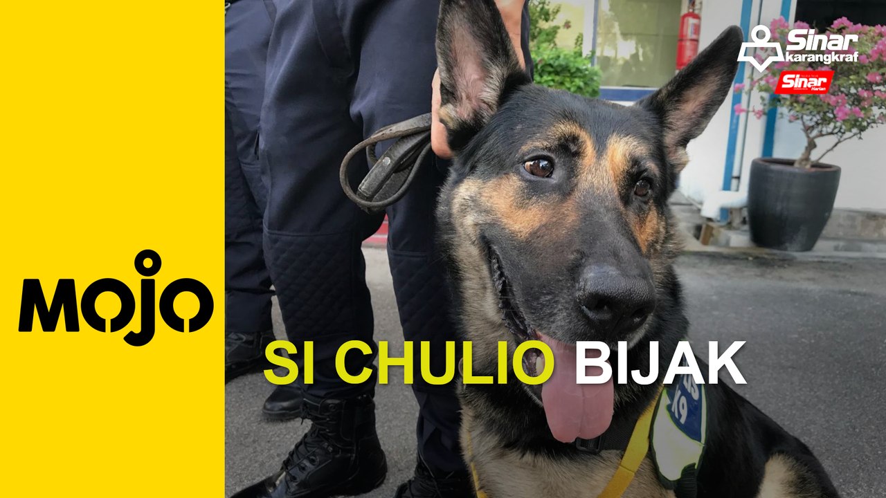 Pingat buat Chulio