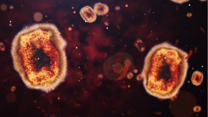 Variole du singe : où le virus circule-t-il ?