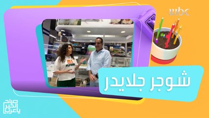 شوجر جلايدر حيوانات غير معروفة ولكنها رفيقة لطيفة للإنسان..تعرفوا عليها #صباح_الخير_يا_عرب