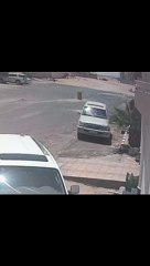 كلاب ضالة تهاجم طفلة في القريات.. وأحد المارة يتدخل لإنقاذها