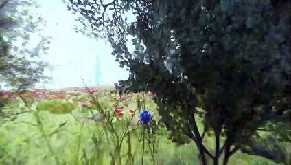 Sega revela primeiro vislumbre do próximo 'Sonic'