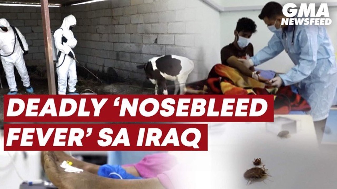 Deadly ‘nose-bleed fever’ sa Iraq | GMA News Feed