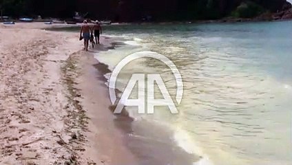 Bartın’da denizin rengi değişti: Numune alınıp TÜBİTAK’a gönderildi