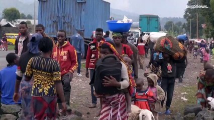Guerra do Colton ameaça região dos Grandes Lagos