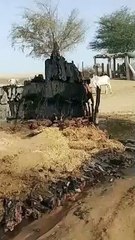 Watch Video: आग से झुपडा जल कर हुआ स्वाहा,लाखो का हुआ नुकसान