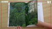 Pour le nouvel album de sa collection "100 photos pour la liberté de la presse", Reporters sans frontières (RSF) met à l'honneur les arbres, vus par de grands photographes - VIDEO