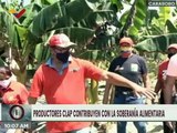 Carabobo | Base de Misiones del sector Las Huertas impulsan patios productivos para la siembra