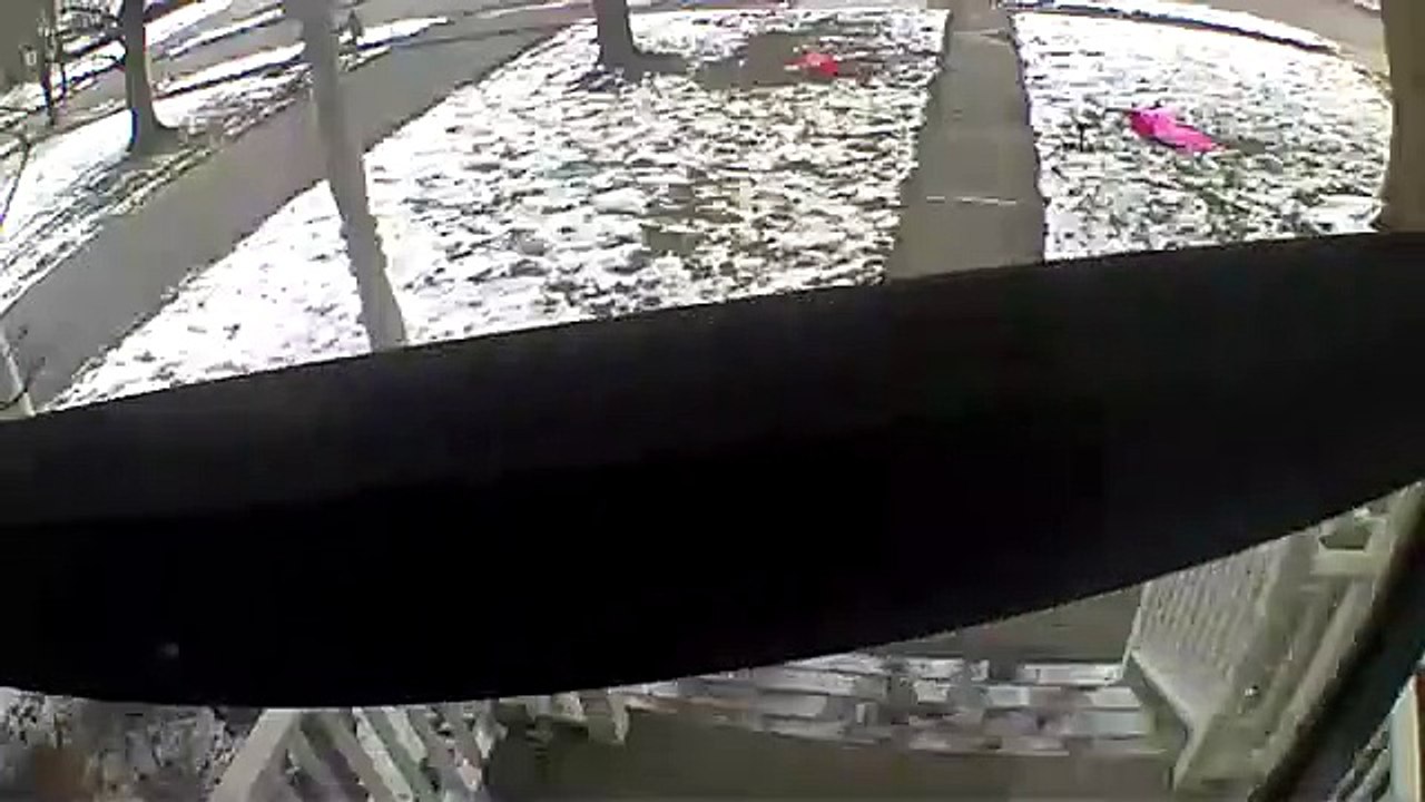 Mother and Daughter Slip and Fall Down Icy Steps