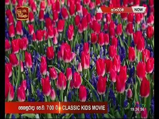 Atapattama 2022.06.01