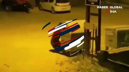 Ankara'da aç kalan ayı köye indi