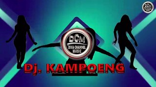 DISCO REMIX BAIK BAIK SAJA 2022  By. Dj. KAMPOENG