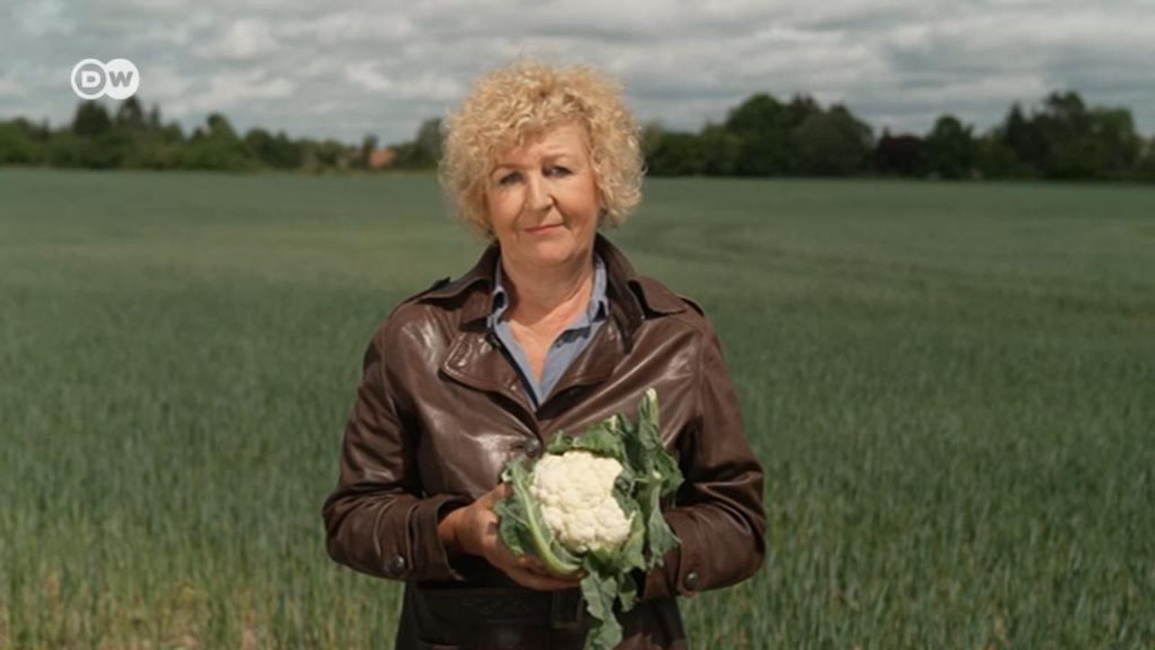 Warum will Deutschland trotz Hungerkrise Äcker stilllegen?